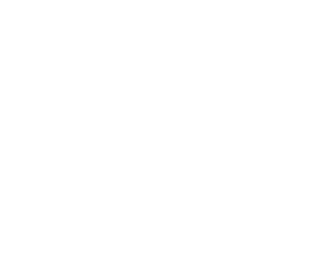 ArcoAlbum logotipas